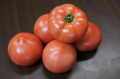 赤土トマト